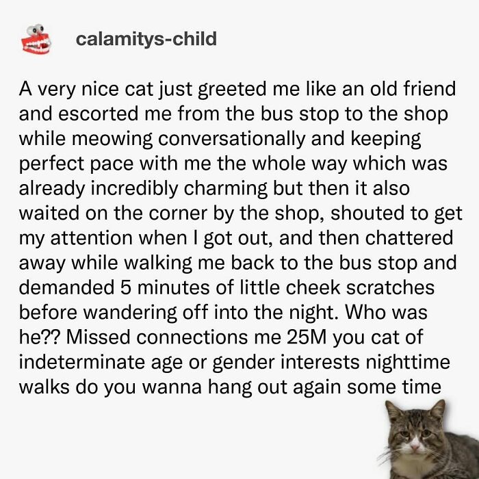 These 79 Cat Memes Are So Good, You’ll Wish You Could Actually Tag Your Kitty