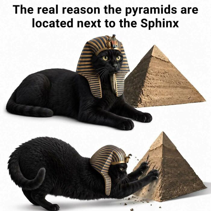 These 79 Cat Memes Are So Good, You’ll Wish You Could Actually Tag Your Kitty