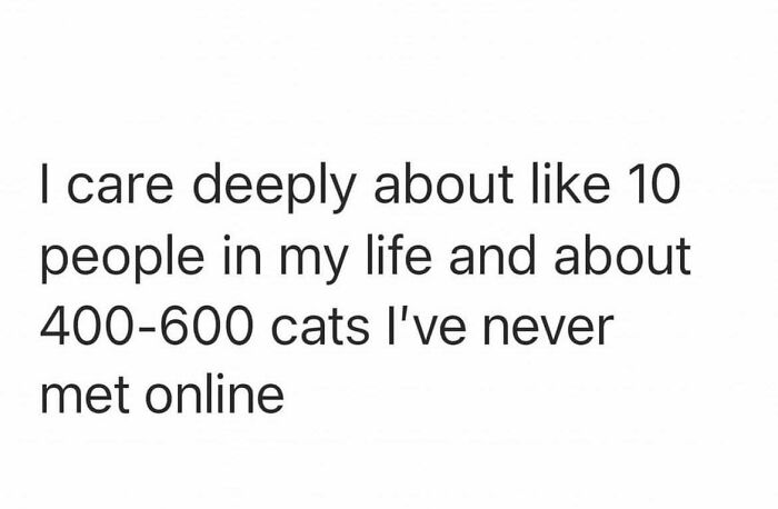 These 79 Cat Memes Are So Good, You’ll Wish You Could Actually Tag Your Kitty