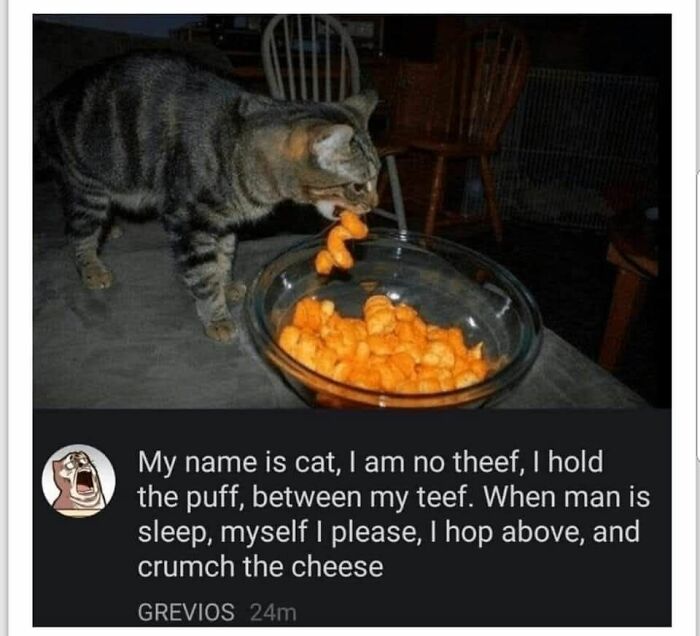 These 79 Cat Memes Are So Good, You’ll Wish You Could Actually Tag Your Kitty