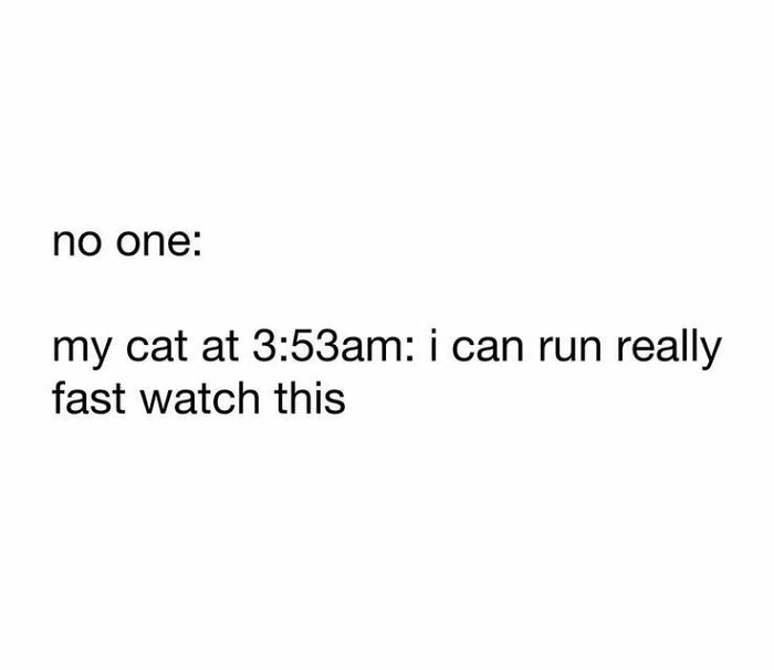 These 79 Cat Memes Are So Good, You’ll Wish You Could Actually Tag Your Kitty