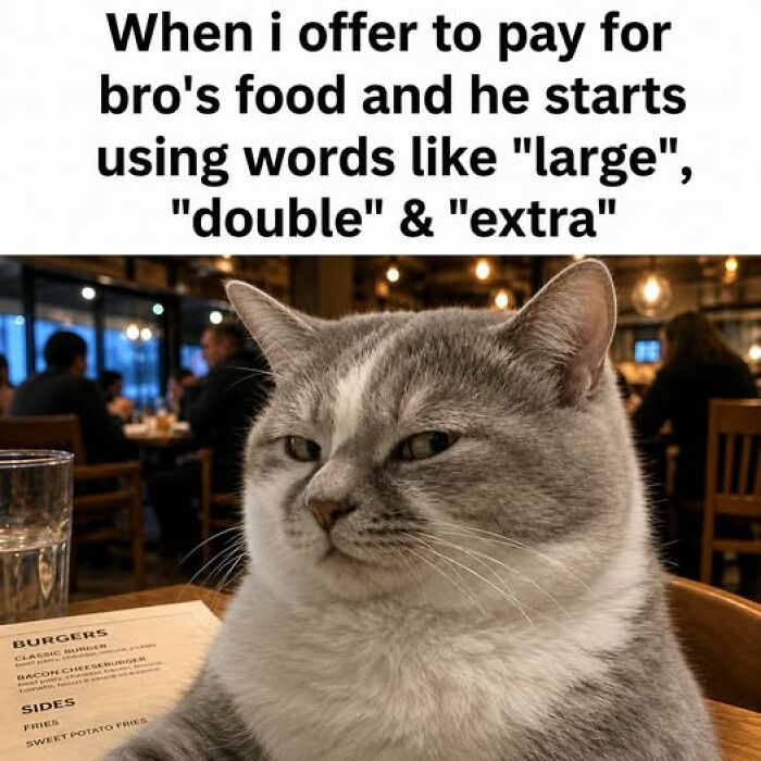 These 79 Cat Memes Are So Good, You’ll Wish You Could Actually Tag Your Kitty