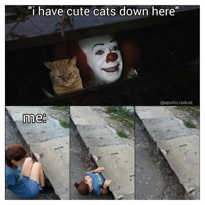 These 79 Cat Memes Are So Good, You’ll Wish You Could Actually Tag Your Kitty