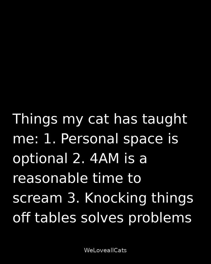 These 79 Cat Memes Are So Good, You’ll Wish You Could Actually Tag Your Kitty