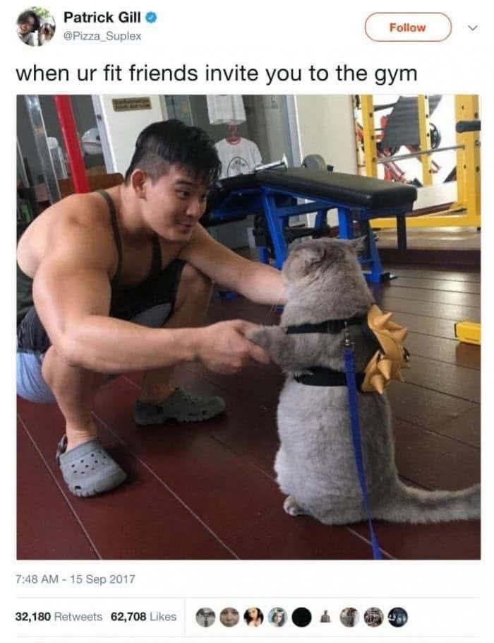 These 79 Cat Memes Are So Good, You’ll Wish You Could Actually Tag Your Kitty