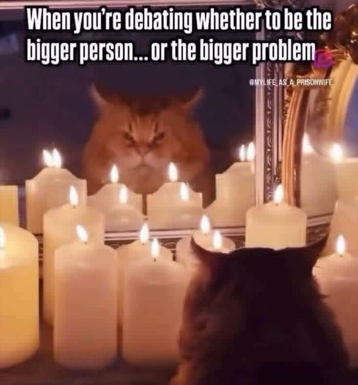 These 79 Cat Memes Are So Good, You’ll Wish You Could Actually Tag Your Kitty