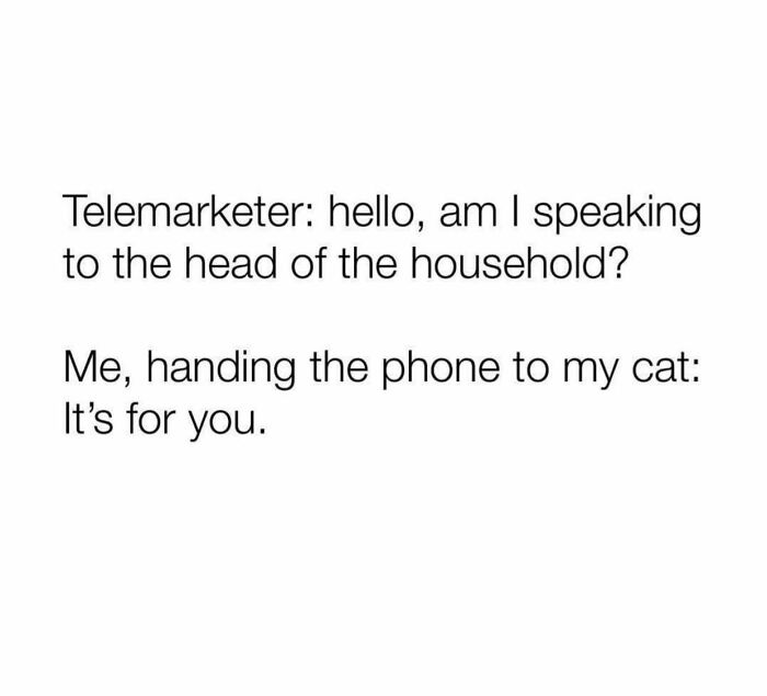 These 79 Cat Memes Are So Good, You’ll Wish You Could Actually Tag Your Kitty