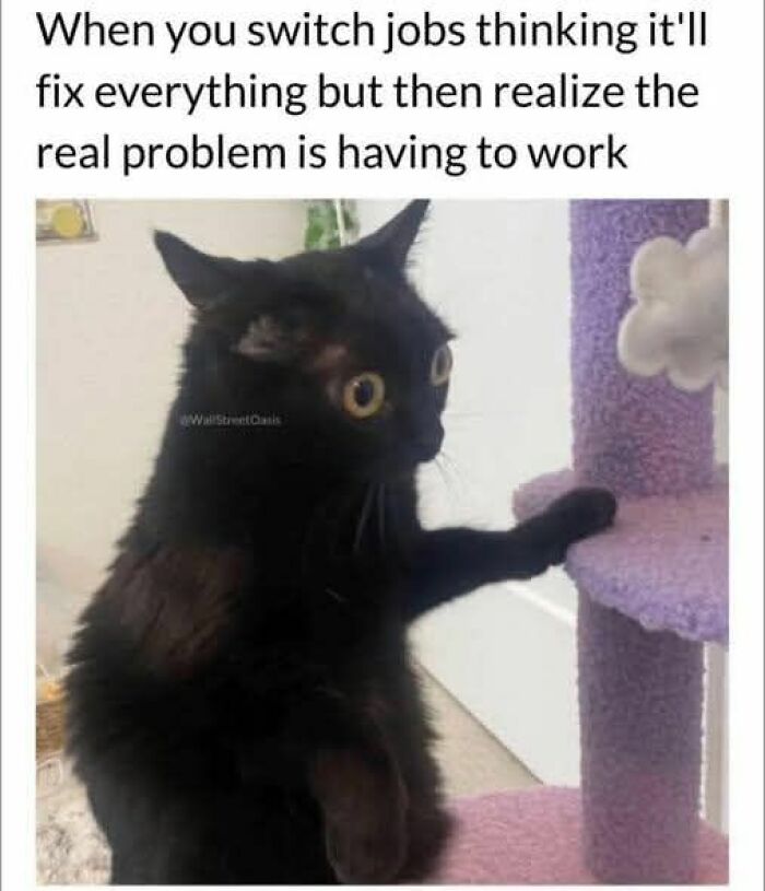 These 79 Cat Memes Are So Good, You’ll Wish You Could Actually Tag Your Kitty