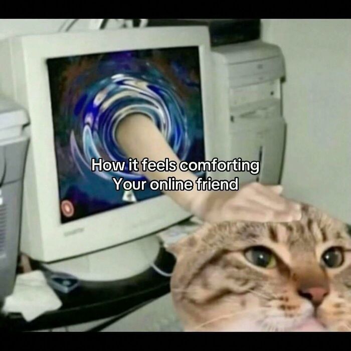 These 79 Cat Memes Are So Good, You’ll Wish You Could Actually Tag Your Kitty