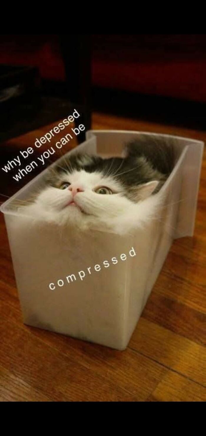 These 79 Cat Memes Are So Good, You’ll Wish You Could Actually Tag Your Kitty