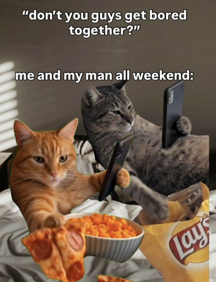 These 79 Cat Memes Are So Good, You’ll Wish You Could Actually Tag Your Kitty