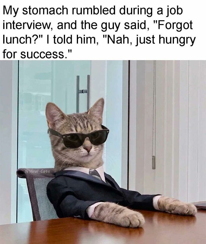 These 79 Cat Memes Are So Good, You’ll Wish You Could Actually Tag Your Kitty