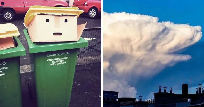 41 Hilarious Things That Look Like Other Things (Bet You Didn’t See That Coming!)