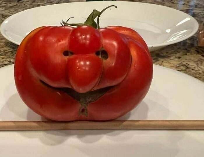 Happy Tomato From Grandma’s Garden