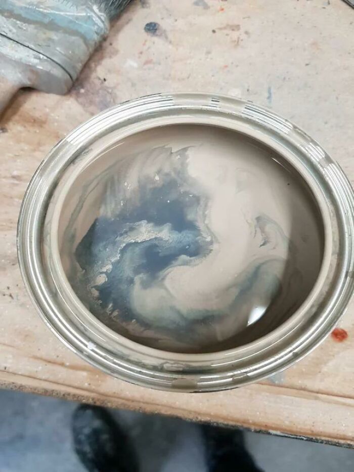 Paint Can or Curious Cat?