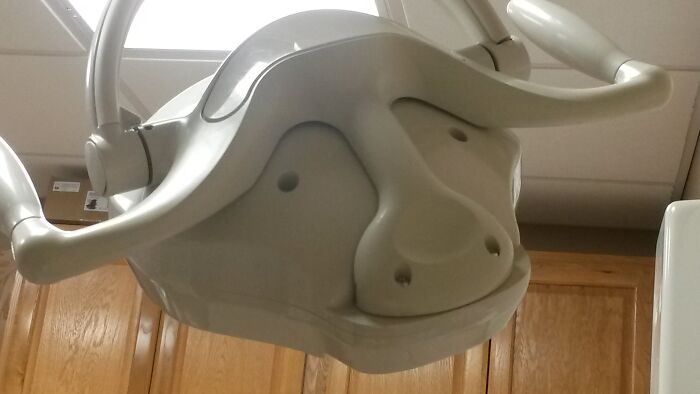 Water Buffalo Smiles for the Dentist