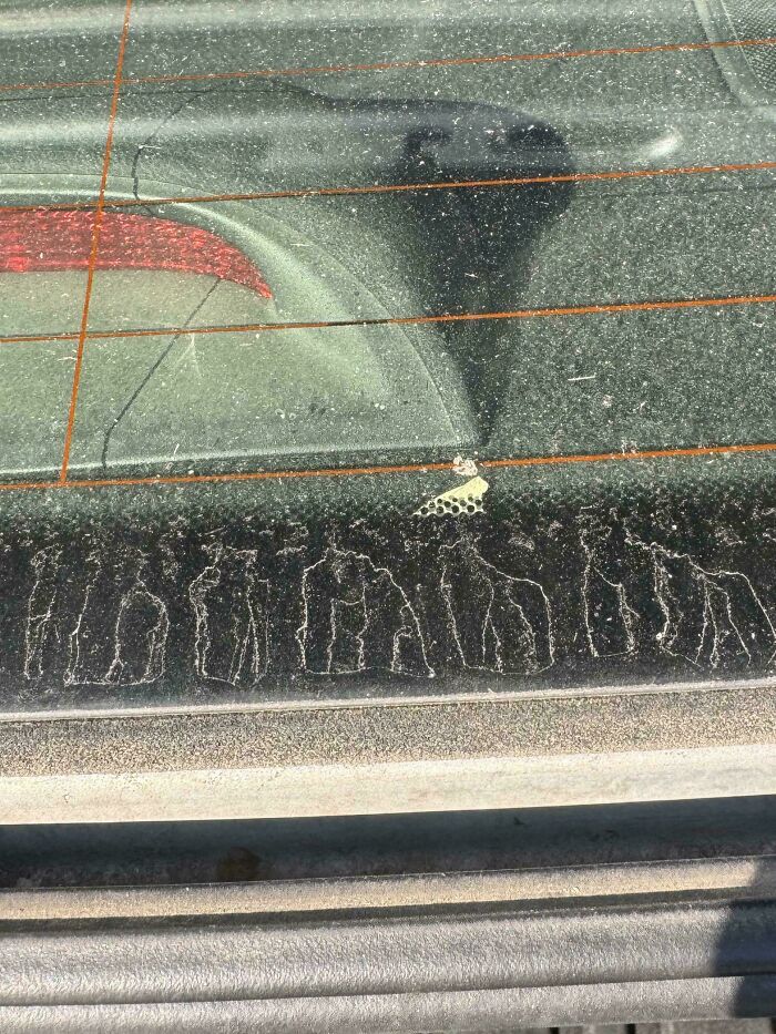 Water Stains That Straight Up Look Like Gorillas