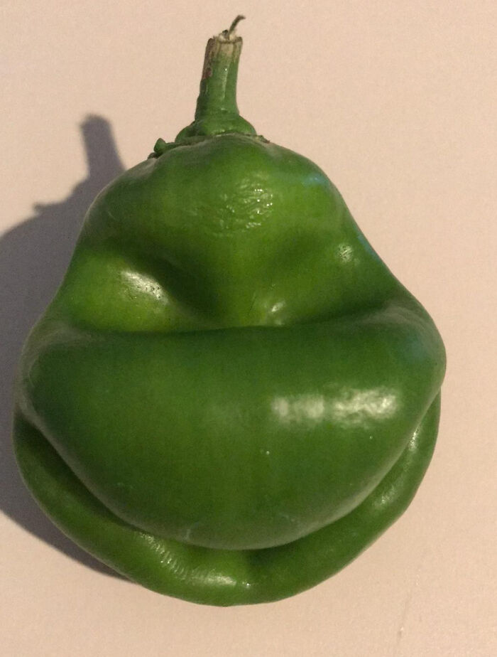 This Pepper is Plotting to Steal Christmas