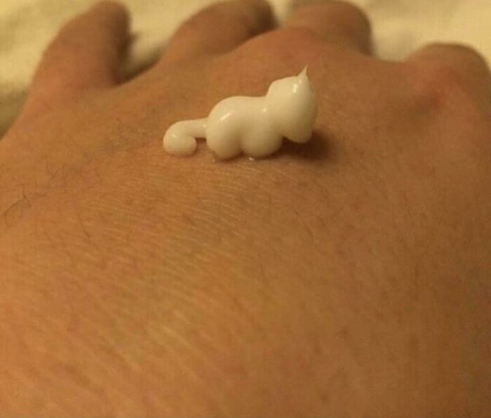Tiny Lotion Squeeze Looks Like a Cute Cat