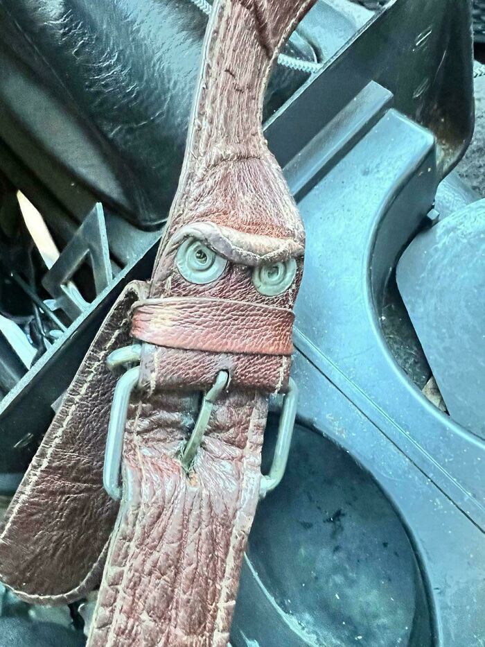 Grumpy Purse Strap Making Faces