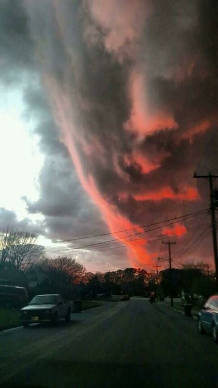 41 Hilarious Things That Look Like Other Things (Bet You Didn’t See That Coming!)