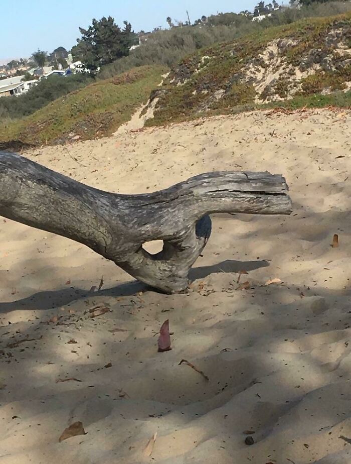 41 Hilarious Things That Look Like Other Things (Bet You Didn’t See That Coming!)