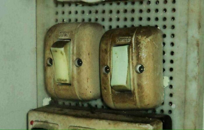 41 Hilarious Things That Look Like Other Things (Bet You Didn’t See That Coming!)