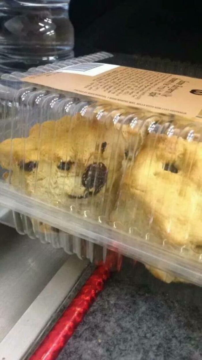 41 Hilarious Things That Look Like Other Things (Bet You Didn’t See That Coming!)