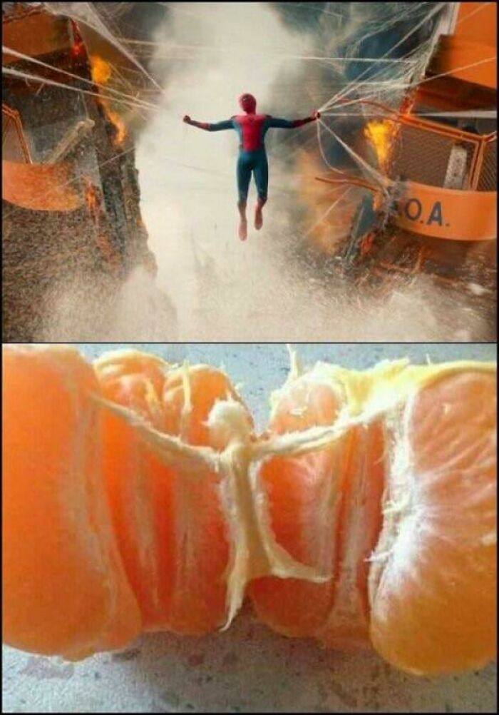 41 Hilarious Things That Look Like Other Things (Bet You Didn’t See That Coming!)