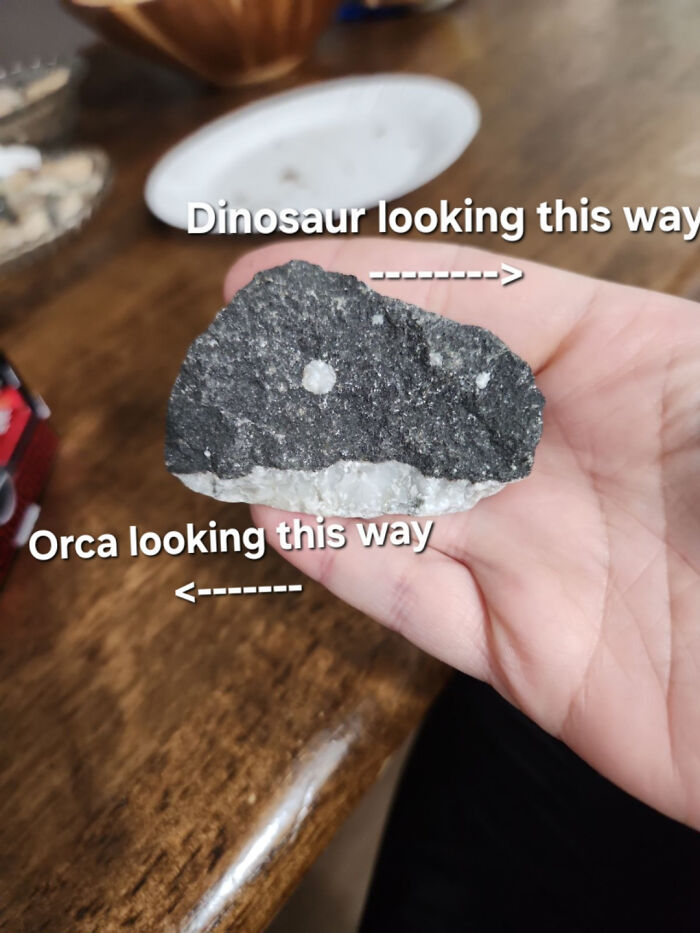 41 Hilarious Things That Look Like Other Things (Bet You Didn’t See That Coming!)