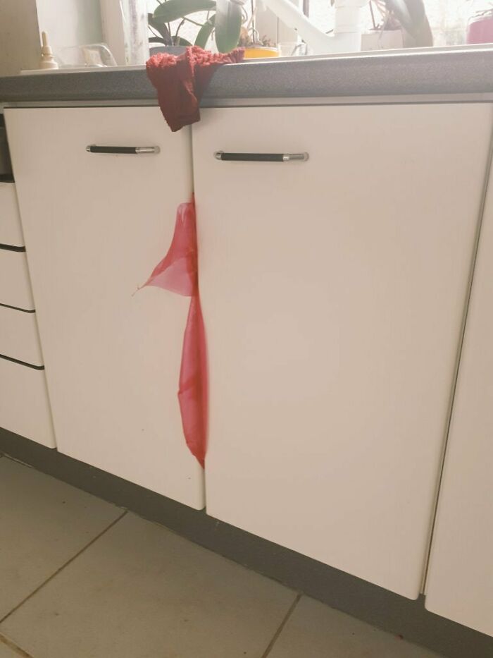 41 Hilarious Things That Look Like Other Things (Bet You Didn’t See That Coming!)