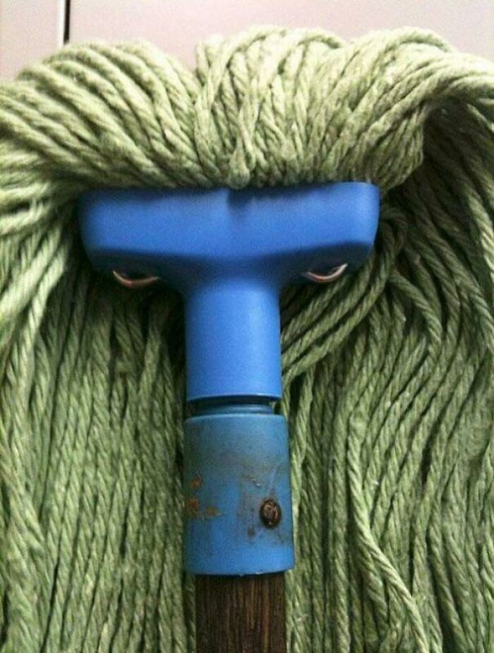 41 Hilarious Things That Look Like Other Things (Bet You Didn’t See That Coming!)