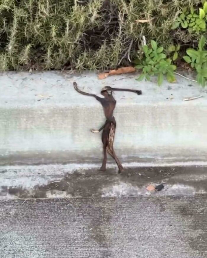 41 Hilarious Things That Look Like Other Things (Bet You Didn’t See That Coming!)