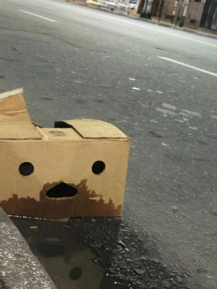 41 Hilarious Things That Look Like Other Things (Bet You Didn’t See That Coming!)