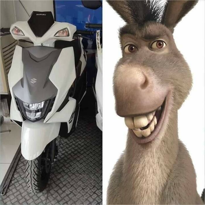 41 Hilarious Things That Look Like Other Things (Bet You Didn’t See That Coming!)
