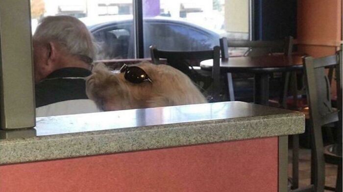 41 Hilarious Things That Look Like Other Things (Bet You Didn’t See That Coming!)