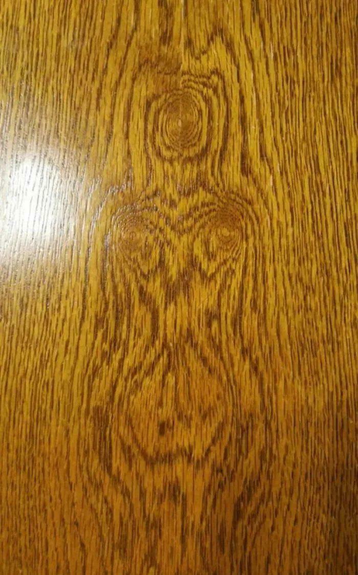 41 Hilarious Things That Look Like Other Things (Bet You Didn’t See That Coming!)