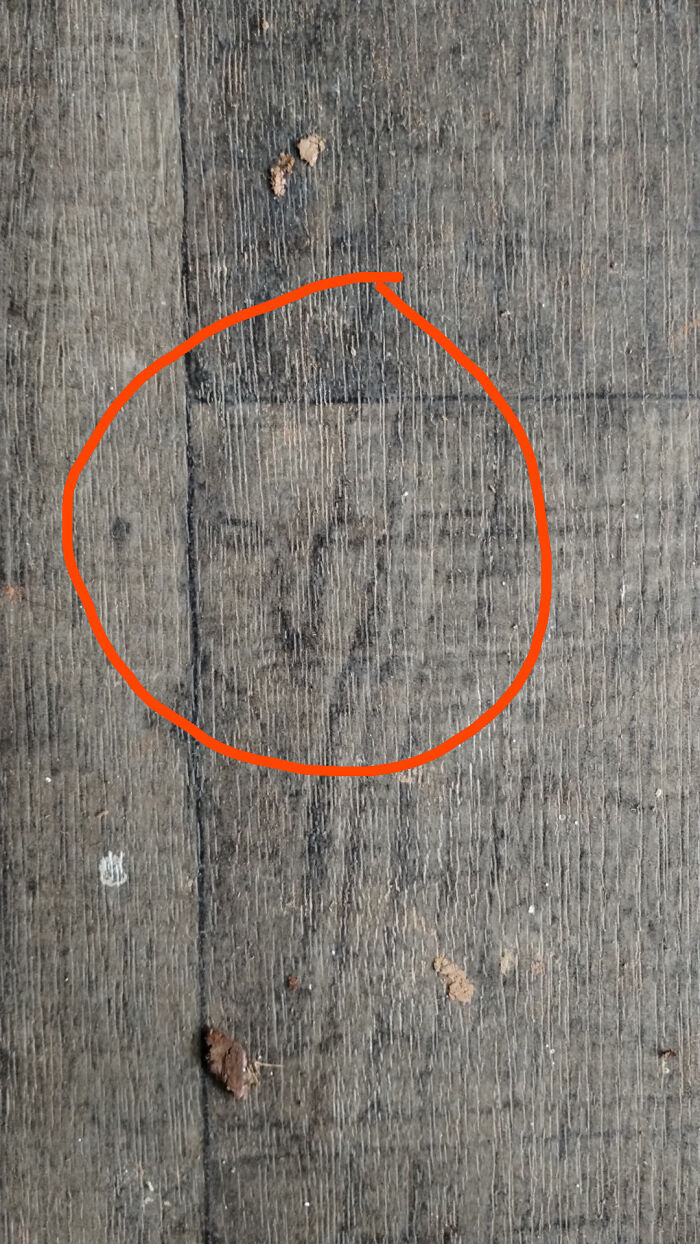 41 Hilarious Things That Look Like Other Things (Bet You Didn’t See That Coming!)