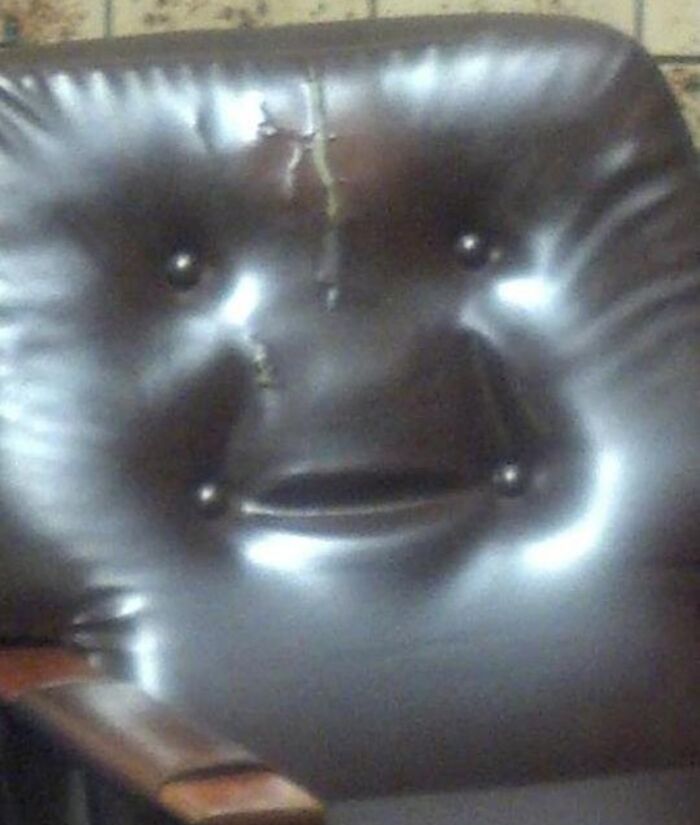 41 Hilarious Things That Look Like Other Things (Bet You Didn’t See That Coming!)