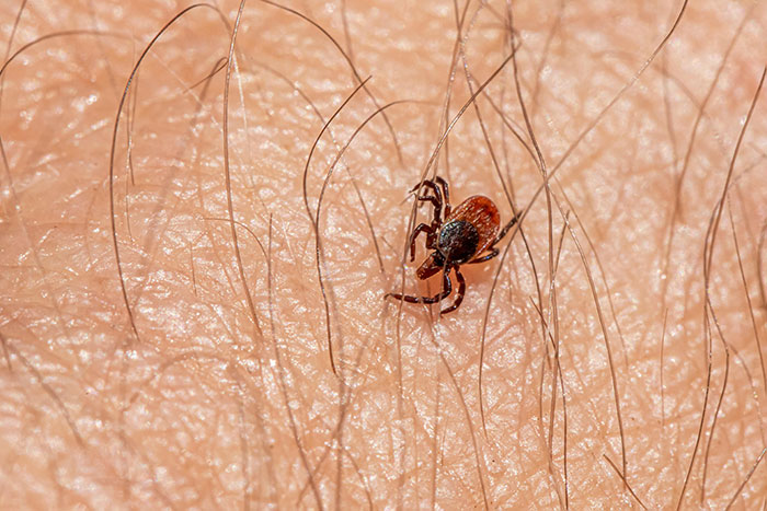 Whoa, These 60 Science Facts Are Straight Outta Sci-Fi!