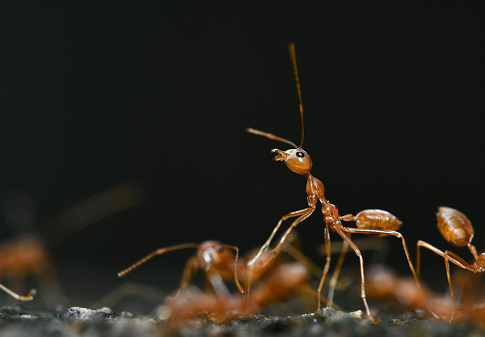 Whoa, These 60 Science Facts Are Straight Outta Sci-Fi!