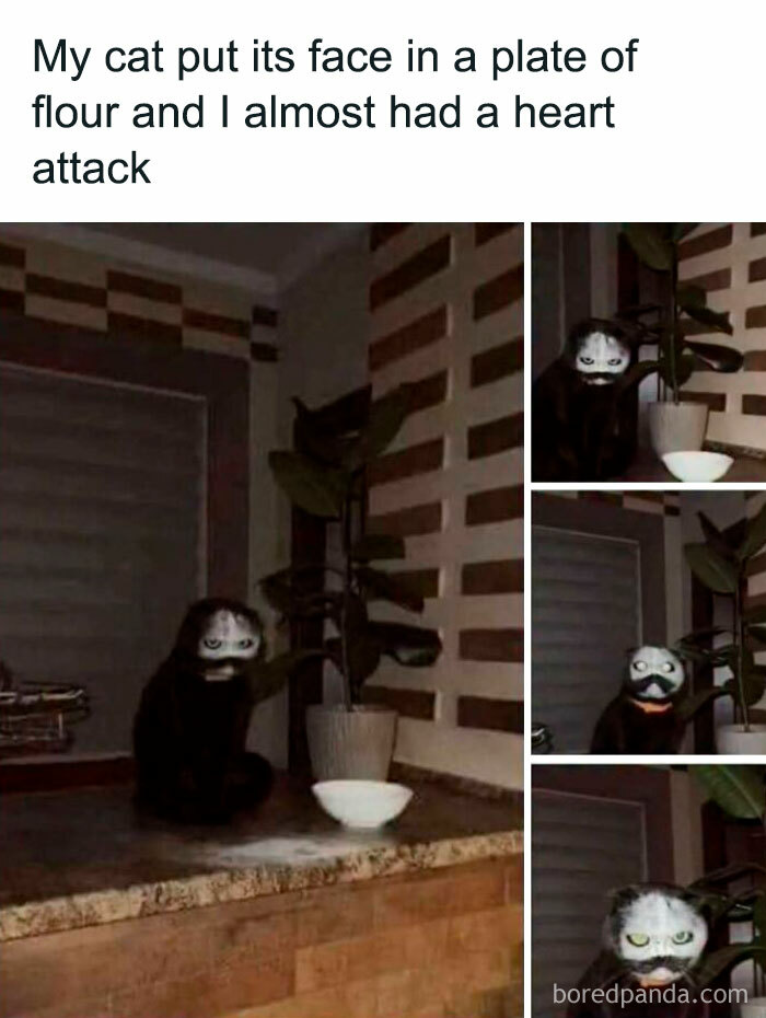 103 Memes That Are So Random, You'll Probably Laugh (Or At Least Smile)