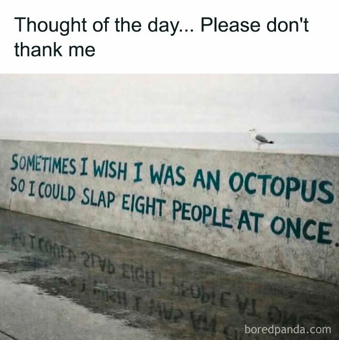 103 Memes That Are So Random, You'll Probably Laugh (Or At Least Smile)