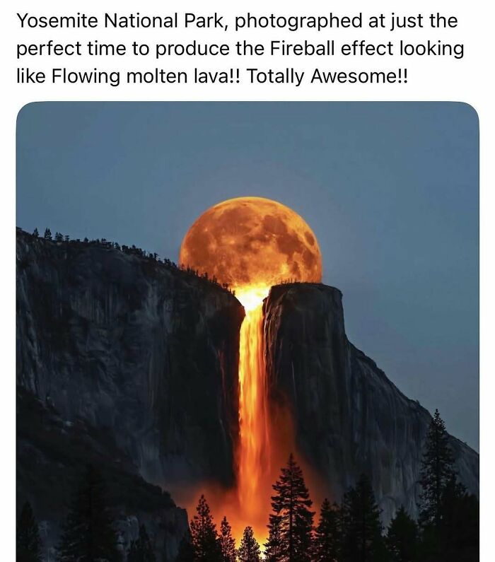 103 Memes That Are So Random, You'll Probably Laugh (Or At Least Smile)
