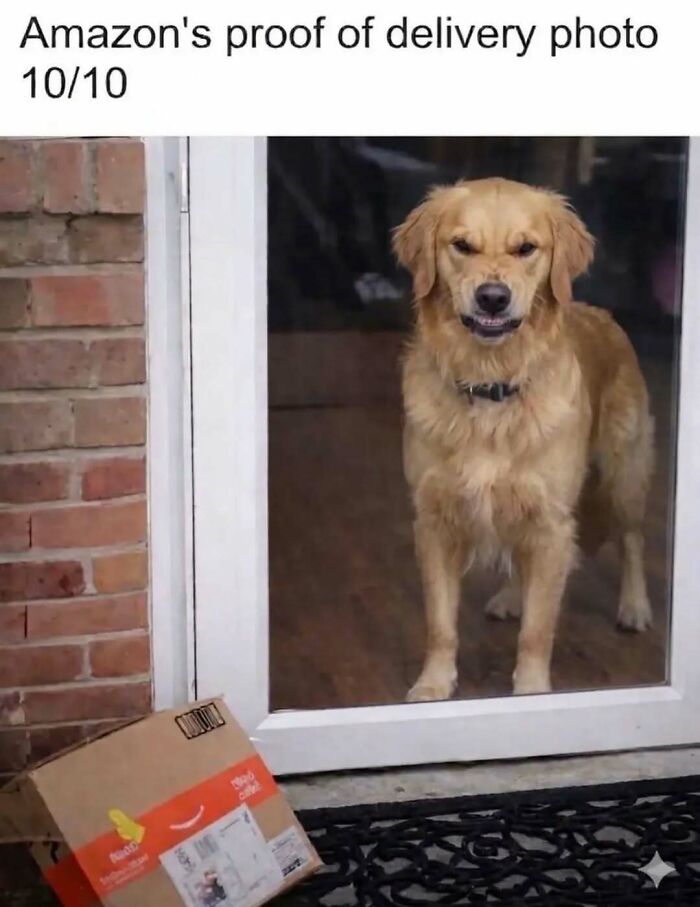 103 Memes That Are So Random, You'll Probably Laugh (Or At Least Smile)