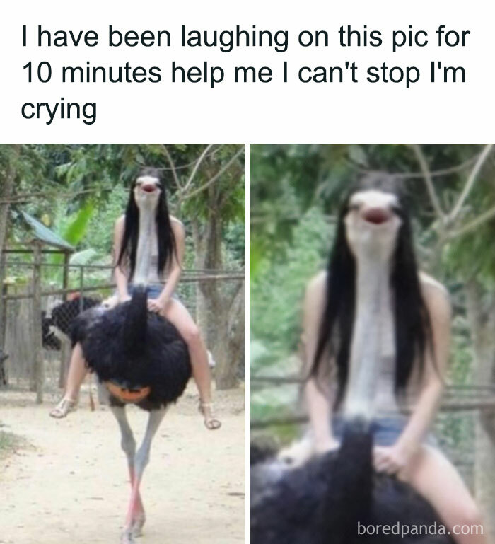 103 Memes That Are So Random, You'll Probably Laugh (Or At Least Smile)