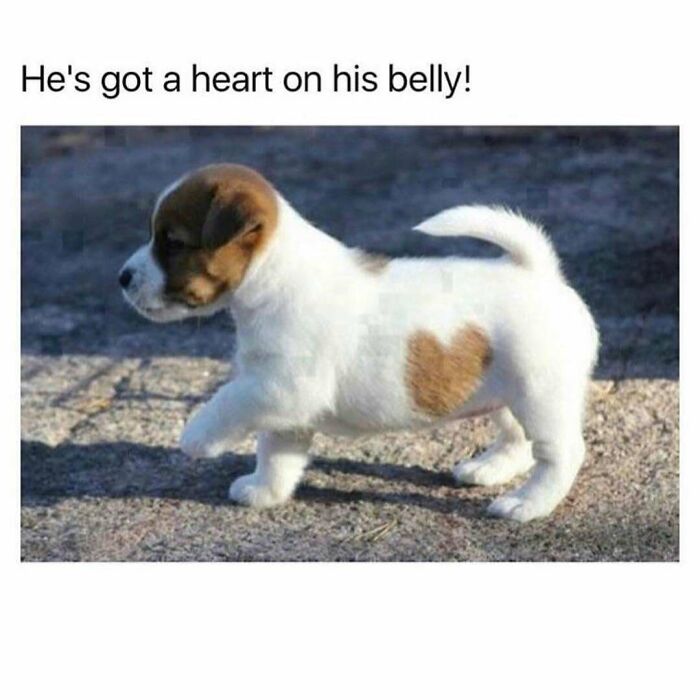 103 Memes That Are So Random, You'll Probably Laugh (Or At Least Smile)