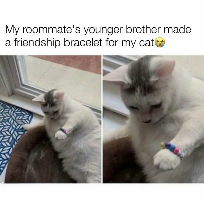 103 Memes That Are So Random, You'll Probably Laugh (Or At Least Smile)