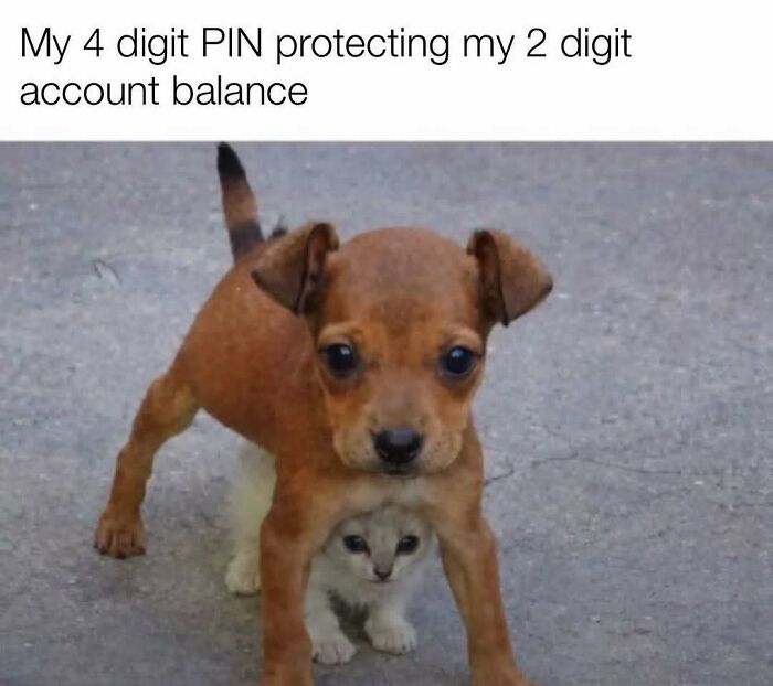 103 Memes That Are So Random, You'll Probably Laugh (Or At Least Smile)