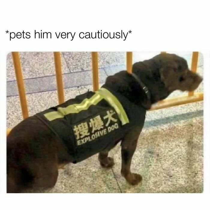 103 Memes That Are So Random, You'll Probably Laugh (Or At Least Smile)